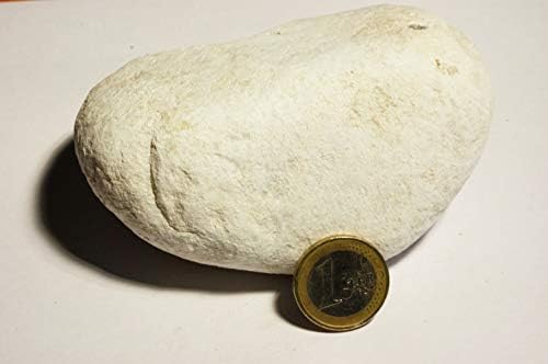 1 Kg de gravier Blanc roulé rond pour Jardin, allée et décoration à l'intérieur et à l'extérieur marbre 60-100 mm