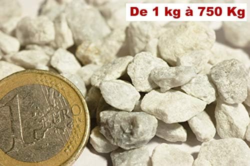 5 Kg de gravier Blanc concassé pour Jardin, allée et décoration à l'intérieur et à l'extérieur marbre 6-10 mm